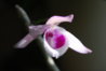 DSC_6355-1.JPG