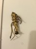 IMG-20160408-WA0001.jpg