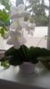 20160410_181436.jpg