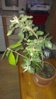 IMAG0676.jpg