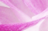кка.png