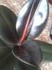 g7WgyV2hOm8.jpg