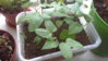 20160326_122411.jpg