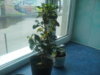20160411_114816.jpg