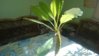 YD_Gallery_20160413_152505.jpg