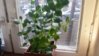 20160416_115459.jpg