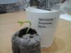 20160418_175410.jpg