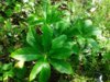 20160416_170528.jpg