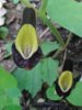 20160416_170245.jpg
