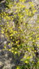 IMG_20100228_052138.jpg