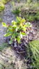 IMG_20100228_051934.jpg