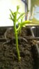 WP_20160420_21_25_43_Pro.jpg