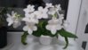 20160420_232326.jpg