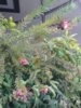20160410_141419.jpg