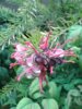 20160410_141336.jpg