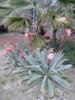 20160410_135531.jpg