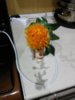 IMG_20160421_223636.jpg