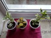 20160423_193727.jpg