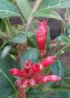 gardenphoto_1461390196292-1200x1696.jpg