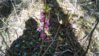 DSC_2199.JPG