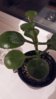 20160424_233644.jpg
