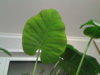 20160425_011749.jpg