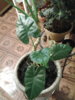 20160425_011838.jpg