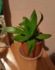 20160428_232820.jpg