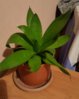 20160428_232844.jpg