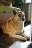 DSC_7667-1.JPG