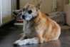 DSC_7709-1.JPG