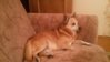 20160428_214936.jpg