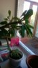 WP_20160501_19_13_37_Pro.jpg