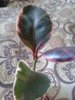 20160503_113515.jpg