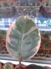 20160503_113537.jpg