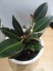 20160504_193614.jpg