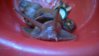 WP_20160503_16_44_36_Pro.jpg