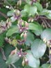 20160505_150152.jpg