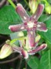 20160505_150049.jpg