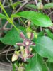 20160505_150121.jpg