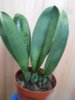 DSCN5983.JPG