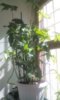 image-10-05-16-15-27-2.jpeg