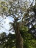 20160510_134609.jpg