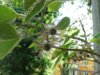 20160510_134331.jpg