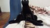 20160429_195910.jpg