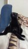 20160429_195915.jpg
