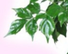 upload_2016-5-11_17-12-34.png