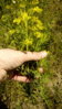 IMG_20100320_230933.jpg