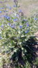 IMG_20100320_231038.jpg