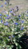 IMG_20100320_231041.jpg